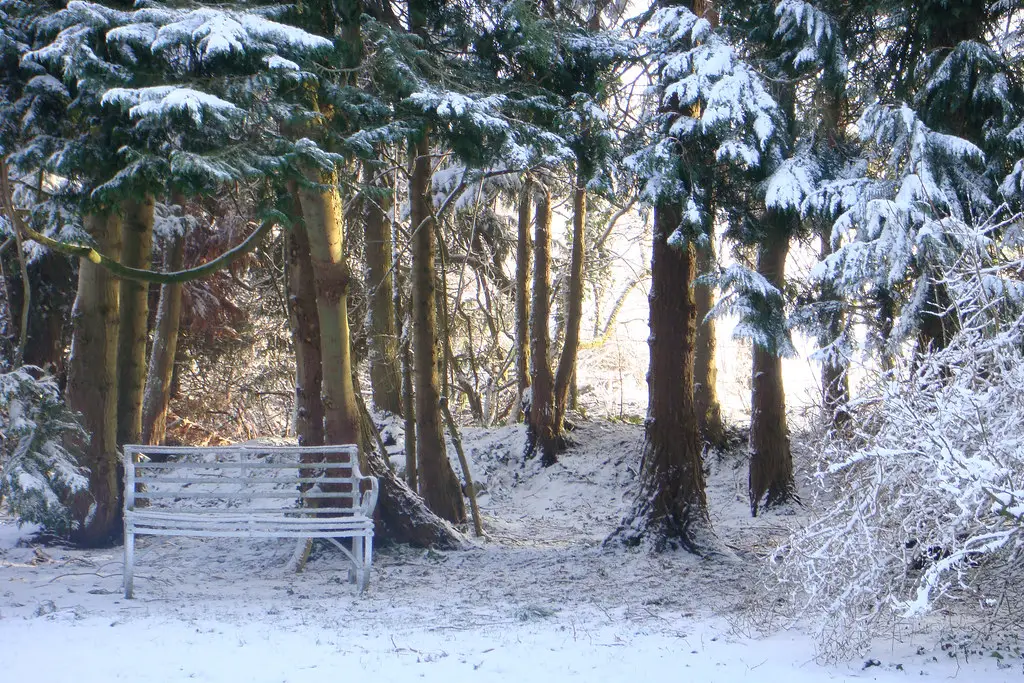 15400241206_68e9739148_b