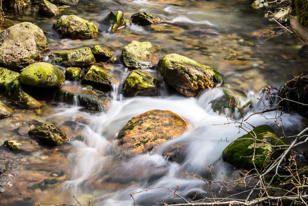 15422858432_e65c83a8f2_b