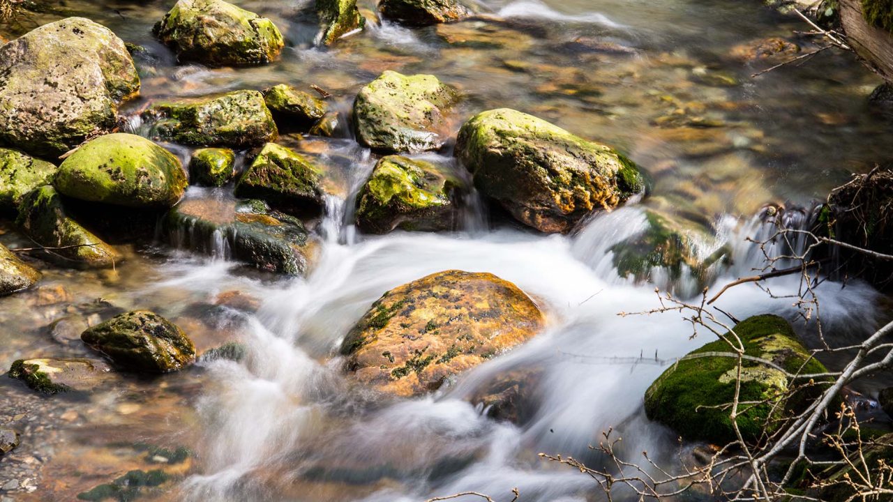 _dsc4545_15422858432_o